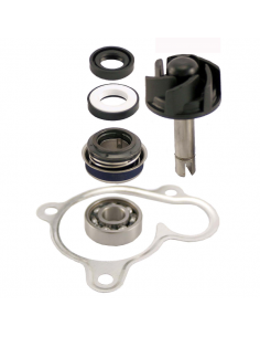 Kit revisione pompa acqua...