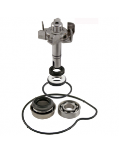 Kit revisione pompa acqua...