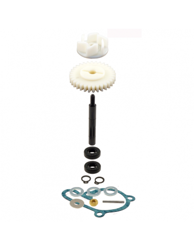 Kit revisione pompa acqua Derbi Senda...