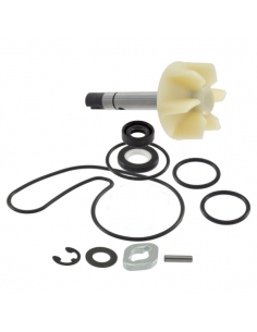 Kit revisione pompa acqua...