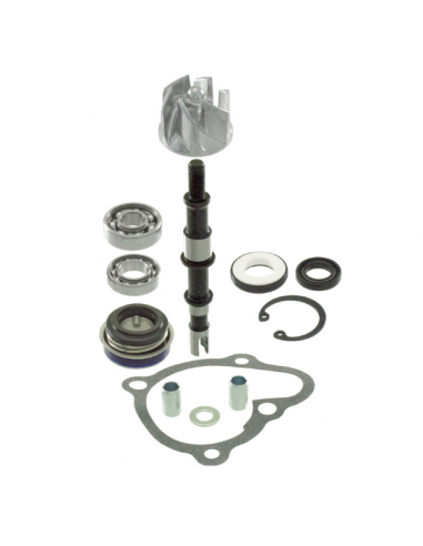 Kit revisione pompa acqua Kymco...
