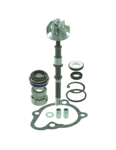 Kit revisione pompa acqua...