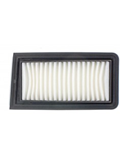 Filtro aria Suzuki Burgman...