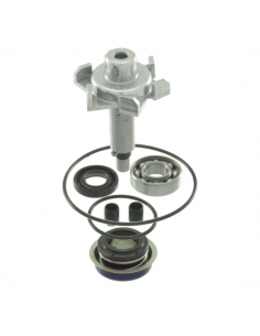 Kit revisione pompa acqua...