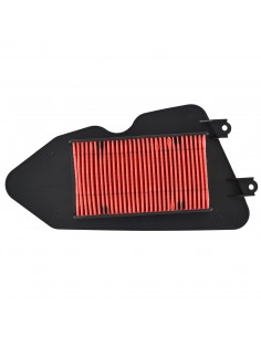 Filtro aria Honda Lead 100...
