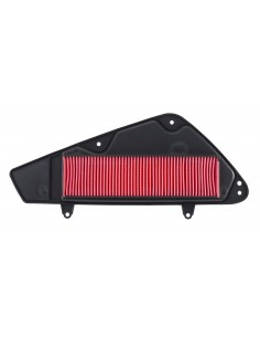 Filtro aria Kymco B&W 125...