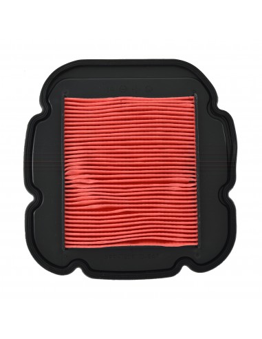 Filtro aria Suzuki Dl650V 07-16