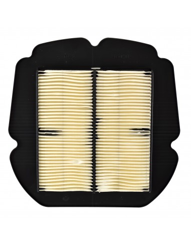 Filtro aria Suzuki Gladius 650 09-17