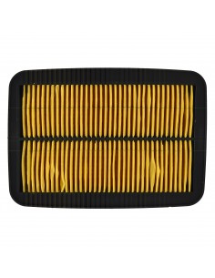 Filtro aria Suzuki Gsf...