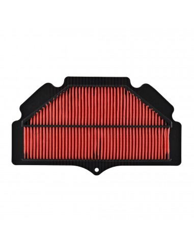 Filtro aria Suzuki Gsr 600 06-10/750...
