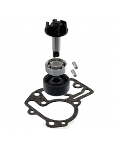 Kit revisione pompa acqua...