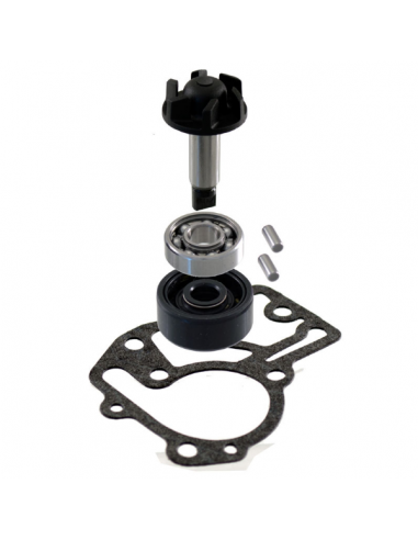 Kit revisione pompa acqua Yamaha...