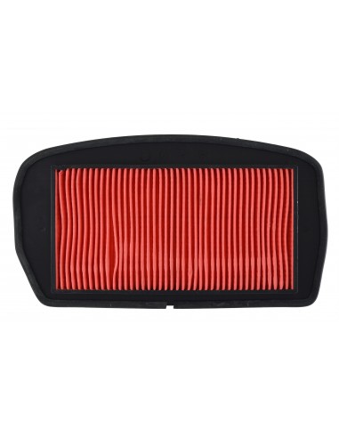 Filtro aria Yamaha Fz6 04-08