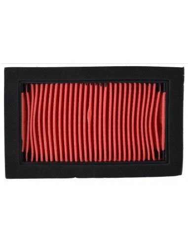 Filtro aria Yamaha Mt03 660 Xt 660