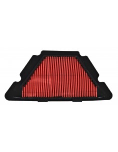 Filtro aria Yamaha Xj6 09-15