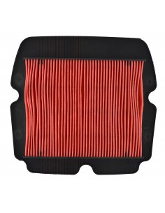 Filtro aria Honda GL 1800...