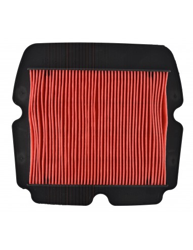 Filtro aria Honda GL 1800 Goldwing 06-16