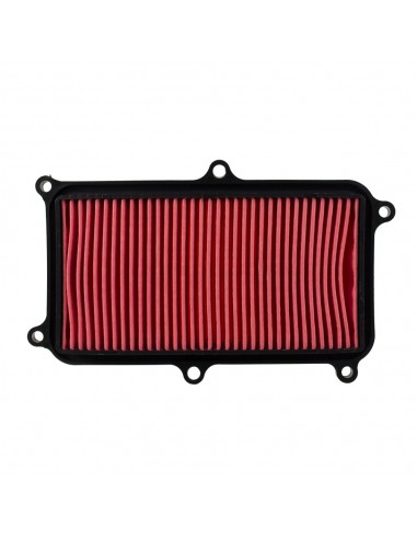 Filtro aria Nypso Kymco People S i 17...