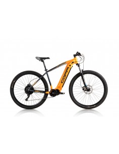 E-Bike Mountain Bike...