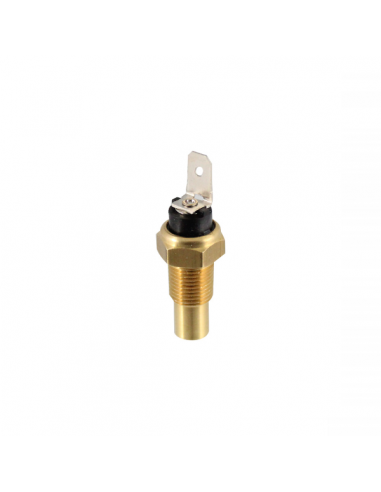 Sensore di temperatura Suzuki-Piaggio