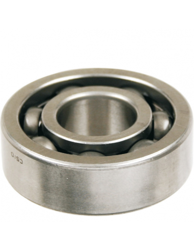 Cuscinetto 15-42-13 Skf 030209