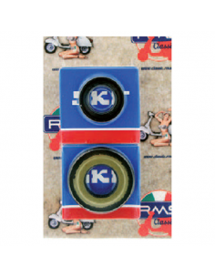 Kit revisione albero motore...