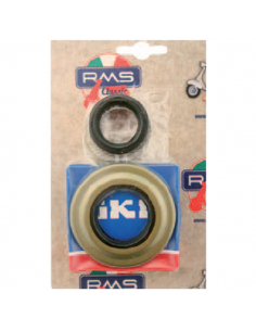 Kit revisone albero motore...