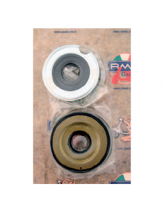 Kit revisione albero motore...