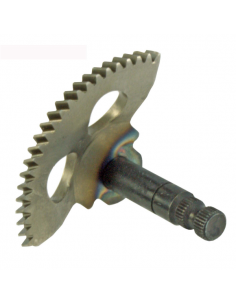 Settore messa in moto...