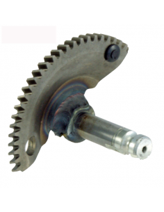 Settore messa in moto...