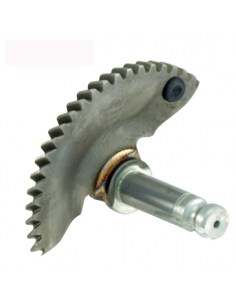 Settori messa in moto...