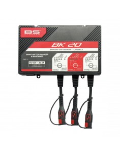 Caricabatteria BK20 3... 2