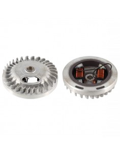 Rotore generatore e bobine...