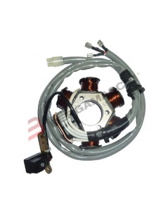 STATORE PIAGGIO ZIP 50...