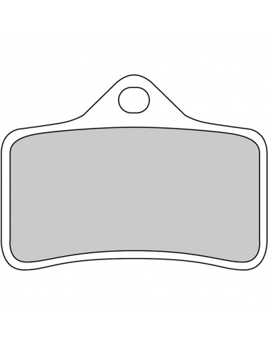 Pastiglie Freno FDB2033P Platinum Road