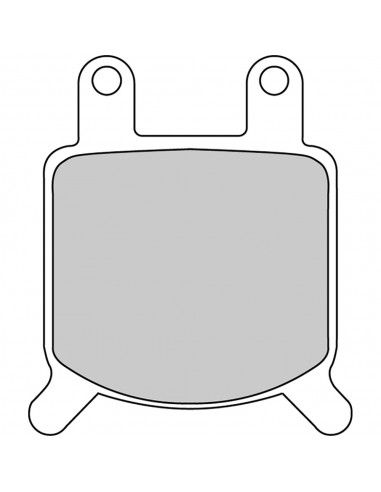 Pastiglie Freno FDB205P Platinum Road