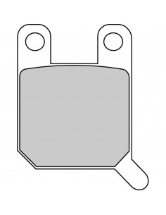 Pastiglie Freno FDB2107P...