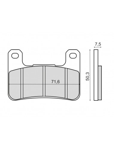Coppia Pastiglie Kawasaki Z 1000 Abs...