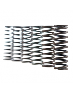 Kit Molle Frizione FSS0521