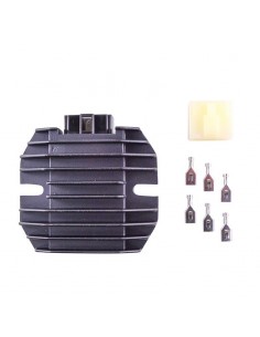 REGOLATORE KAWASAKI NINJA... 2