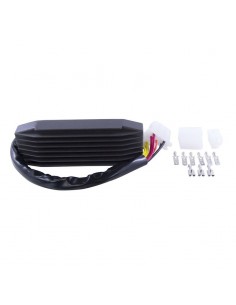 REGOLATORE SUZUKI VS 1400... 2