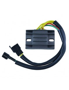 REGOLATORE SUZUKI DRZ400 00-17 2