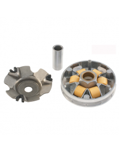 Semipuleggia motrice mobile...