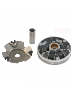 Semipuleggia motrice mobile...