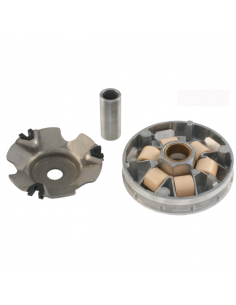 Semipuleggia motrice mobile...