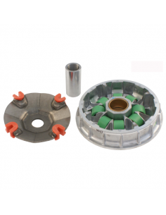 Semipuleggia motrice mobile...