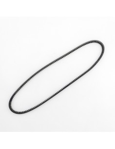 CINGHIA BRAVO MONOMARCIA...