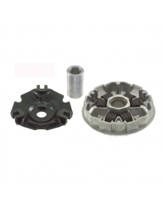 Semipuleggia motrice mobile...