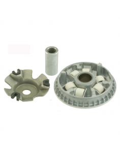 Semipuleggia motrice mobile...