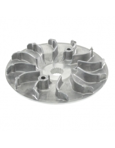 Semipuleggia motrice fissa...